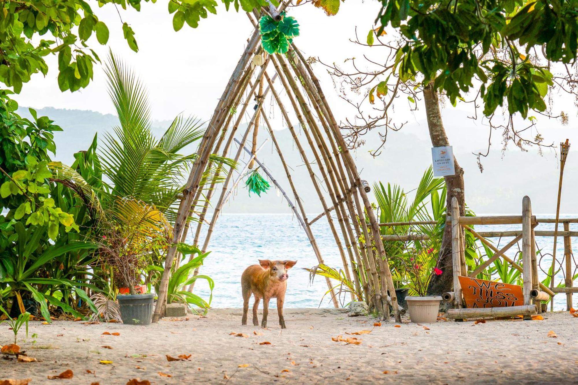 Hotel Isla - The Island Experience El Nido Zewnętrze zdjęcie